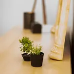 Apartamento Chrigrey & *